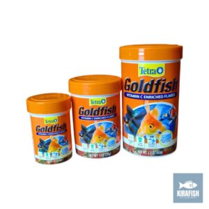 Tetra Goldfish