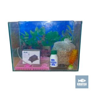 Peceras