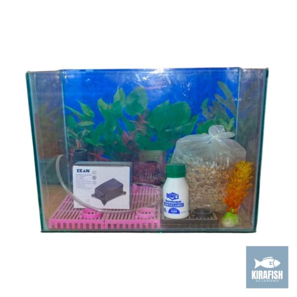 Kit Pecera Completa