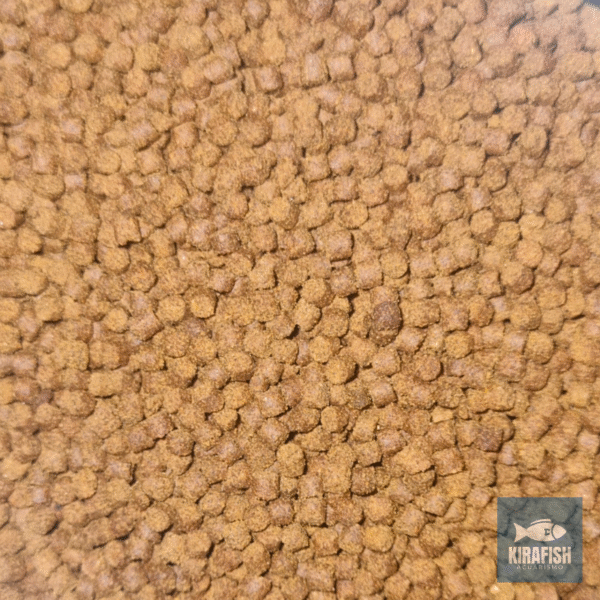 Alimento para CiclidoTYR 2mm (100gr).