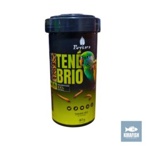 Tenébrio Poytara.