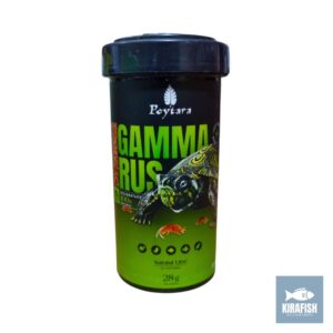 Gammarus Poytara.