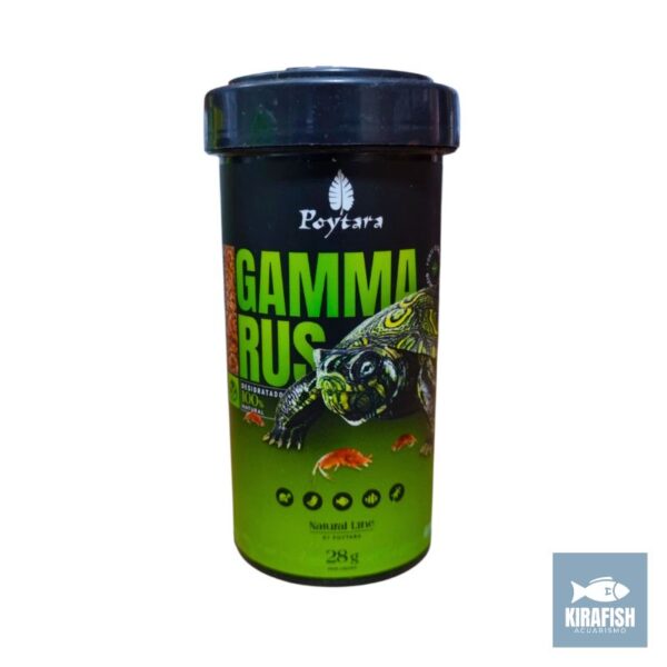 Gammarus Poytara.