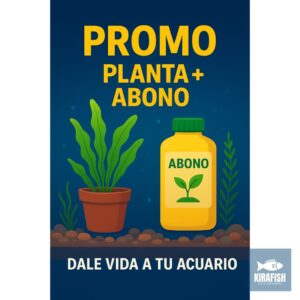 ¡Promo de la Semana!🔥