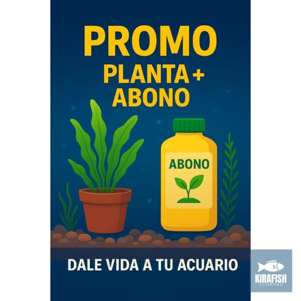 ¡Promo de la Semana!🔥