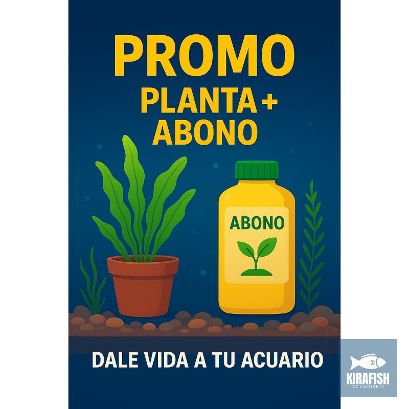 ¡Promo de la Semana!🔥
